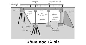 mong-coc