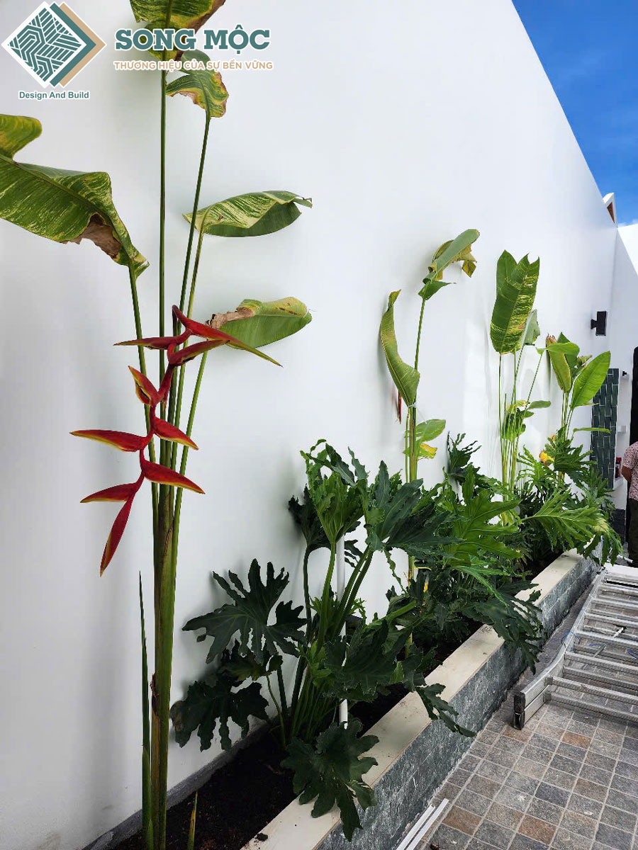 Hình ảnh hoàn thành thi công xây dựng nhà phố 2 tầng dự án D'House